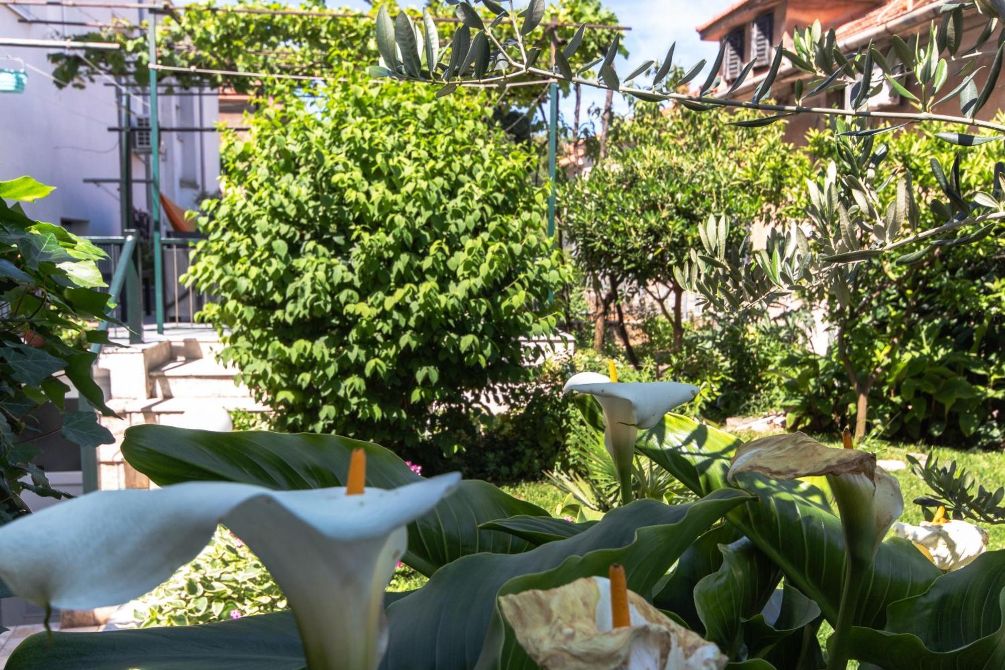 Marjan Hill 3-Br Apt,5 Guests Private Garden Near Beach Split Exterior foto